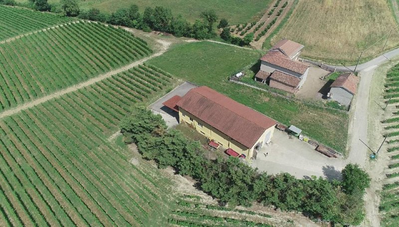 Quinta agrícola em Isola d'Asti
