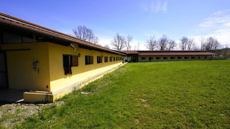 Zakelijk onroerend goed in Valfenera