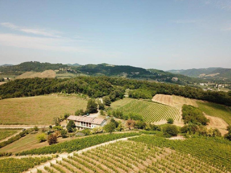 Urlaub auf dem Bauernhof in Murisengo Monferrato