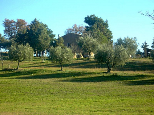 Farmhouse in Campli