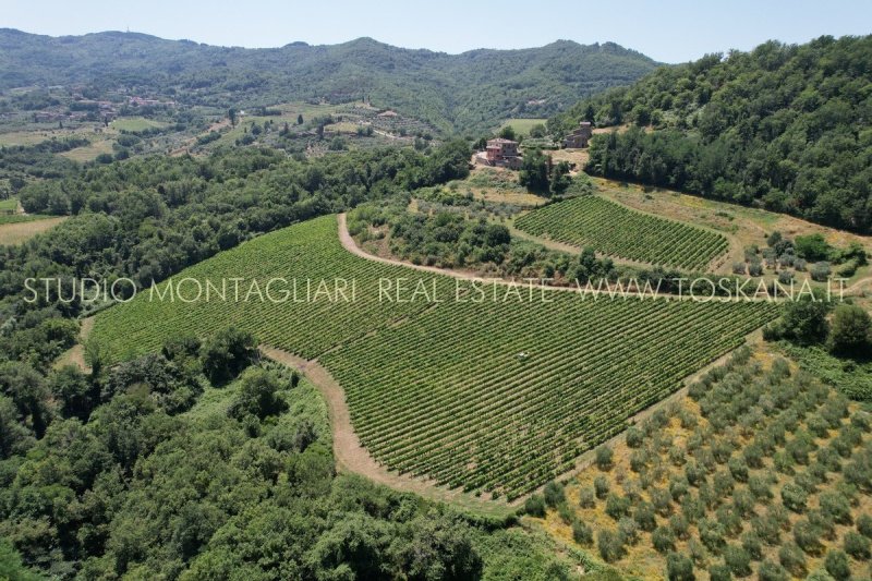 Casa histórica em Greve in Chianti