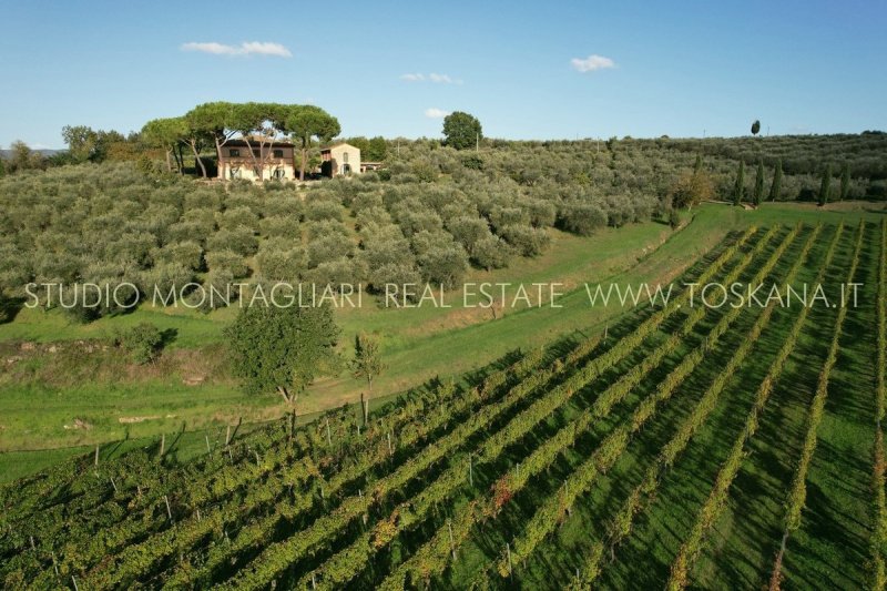 Lantgård i Castellina in Chianti