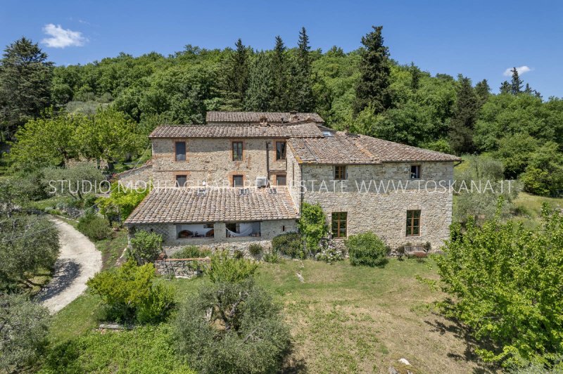 Landwirtschaftlicher Betrieb in Radda in Chianti