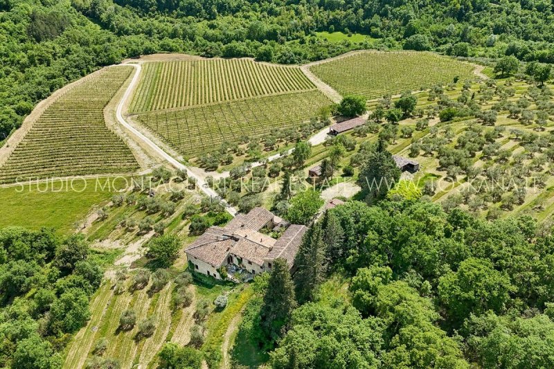 Landwirtschaftlicher Betrieb in Radda in Chianti