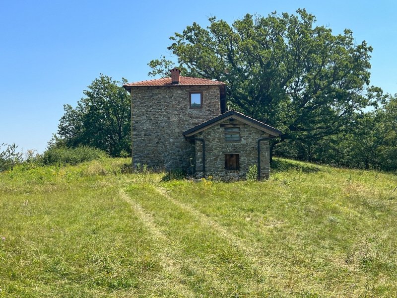 Klein huisje op het platteland in Piana Crixia