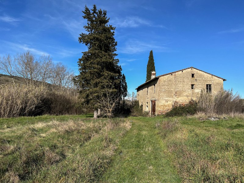 Lantställe i Castelfiorentino