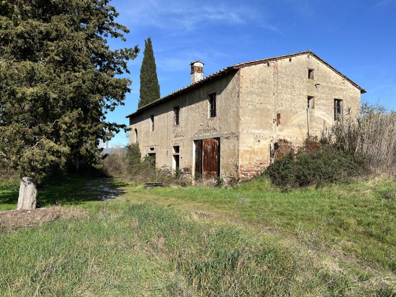 Lantställe i Castelfiorentino