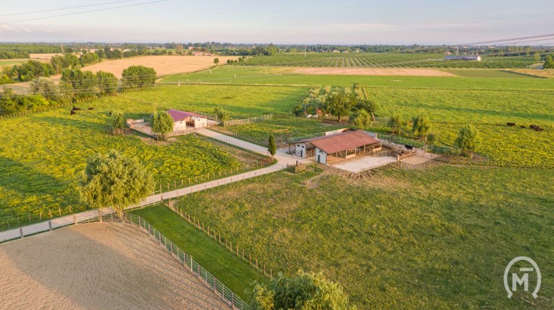 Exploitation agricole à Aiello del Friuli