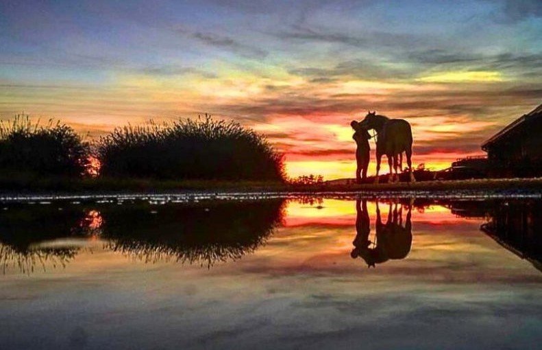 Azienda agricola a Fagagna