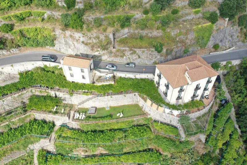 马约里商业房产