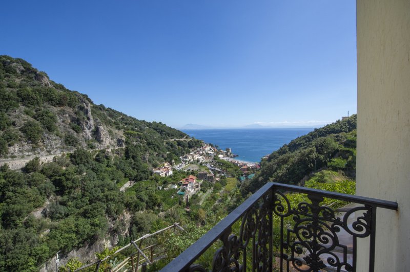 马约里商业房产