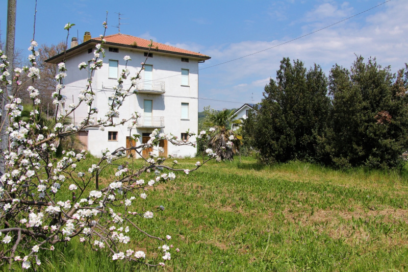 House in Ortezzano