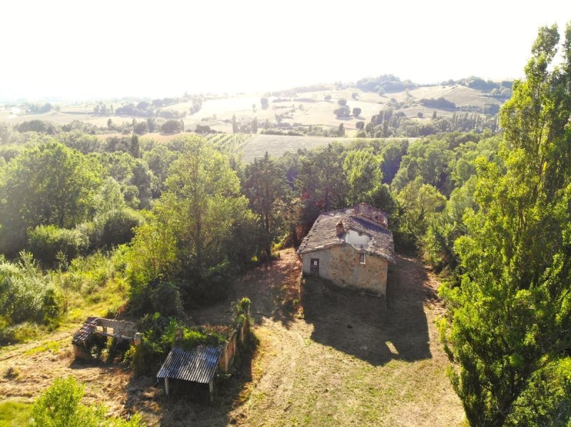 Bauernhaus in Montone