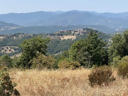 Exploitation agricole à Umbertide