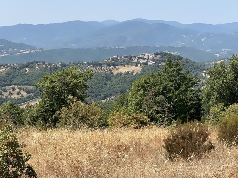 Farm in Umbertide