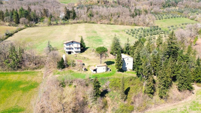 Solar em Montone