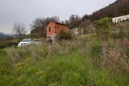 Farmhouse in Vallebona