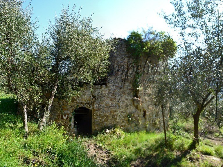 Ferme à Dolceacqua