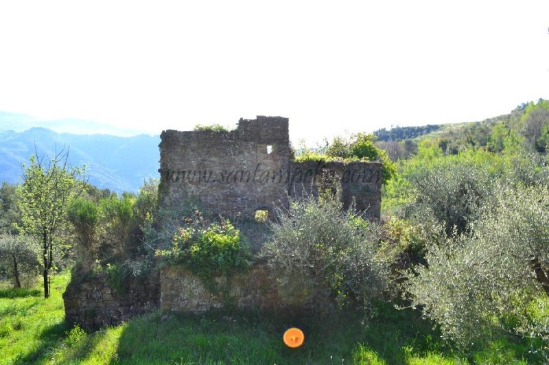 Bauernhaus in Dolceacqua