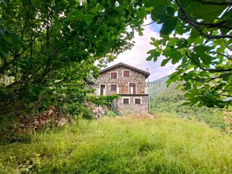 Casa indipendente a Isolabona