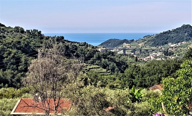 Farmhouse in Vallebona