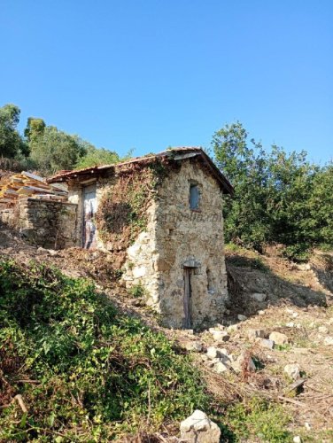 Casolare a Vallebona