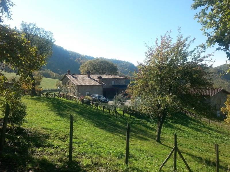 Farmhouse in Barberino di Mugello