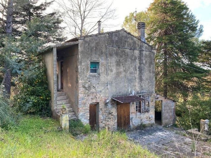 Bauernhaus in Castagneto Carducci