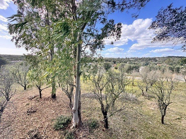 Terrain à bâtir à Ostuni