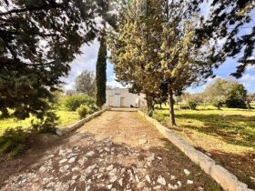 Country house in Carovigno