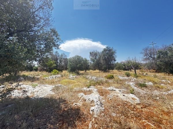 Terreno edificabile a Carovigno
