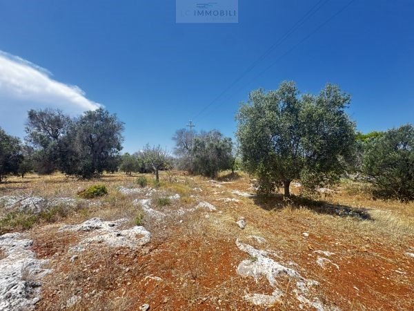 Terreno edificabile a Carovigno