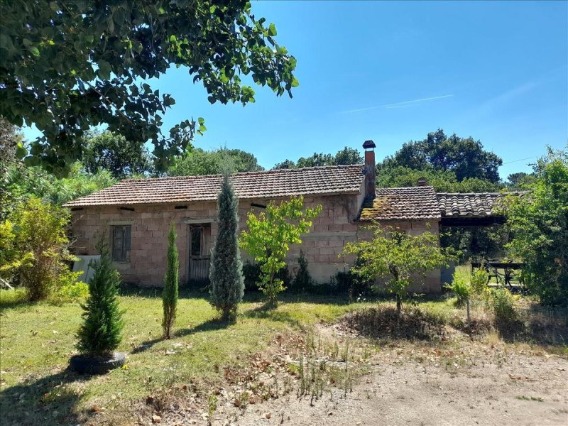 Maison individuelle à Castiglione del Lago