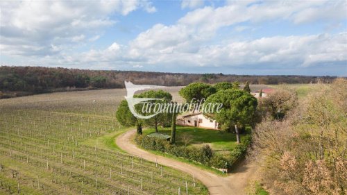 Landwirtschaftlicher Betrieb in Castiglione del Lago