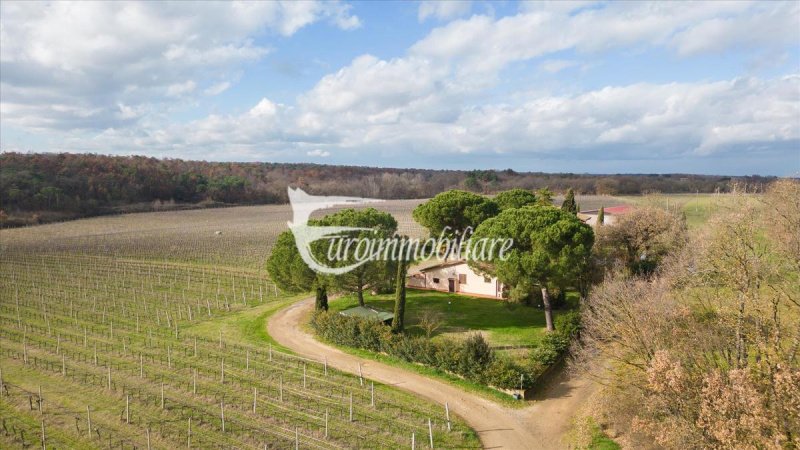 Azienda agricola a Castiglione del Lago