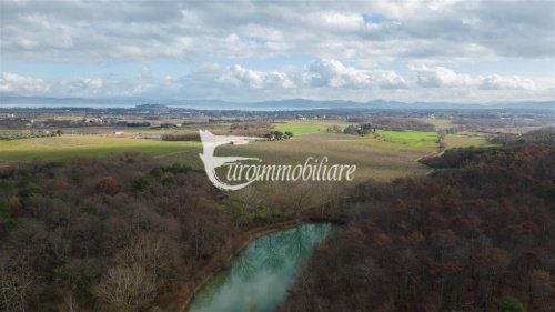 Farm in Castiglione del Lago