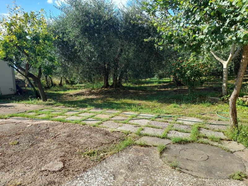 Casa indipendente a Castiglione del Lago