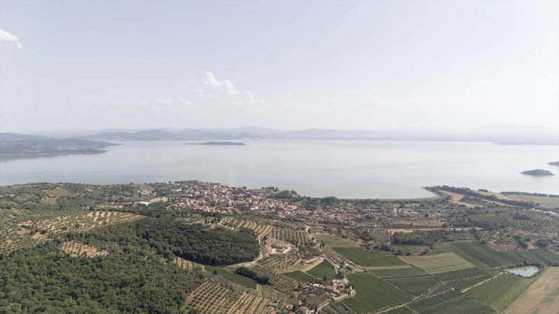Lantställe i Passignano sul Trasimeno