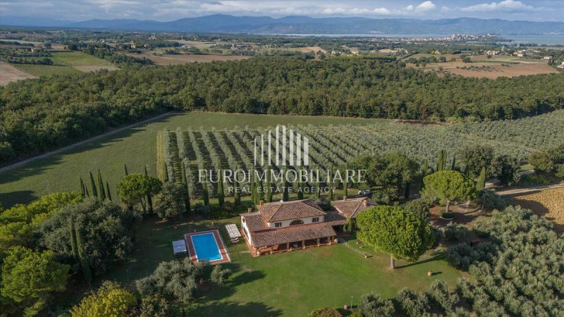 Lantställe i Castiglione del Lago