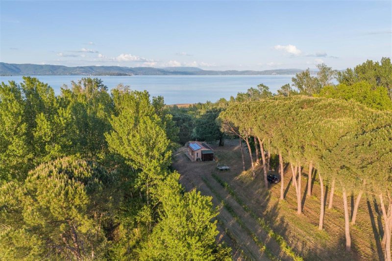 Maison individuelle à Castiglione del Lago