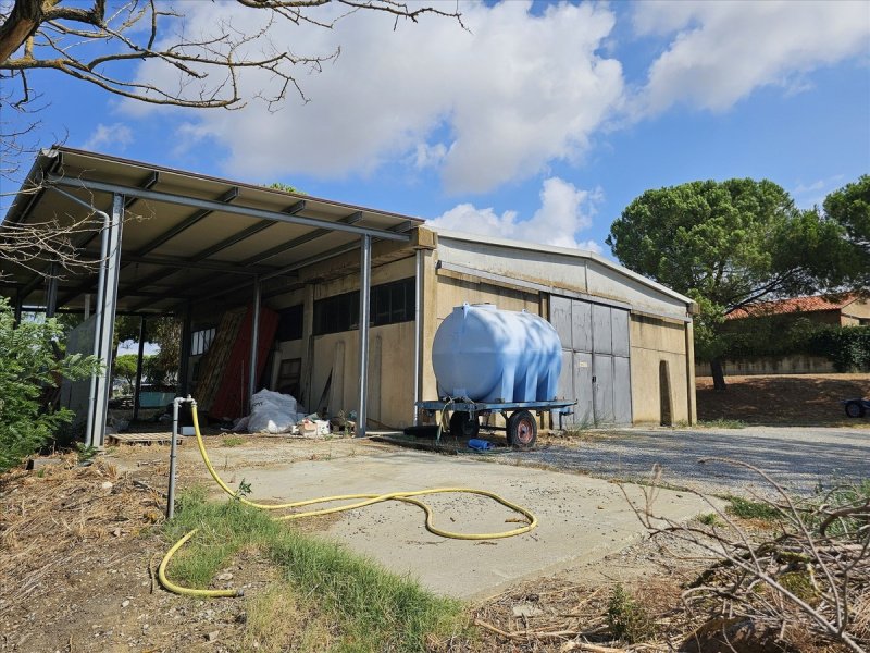 Farm in Castiglione del Lago