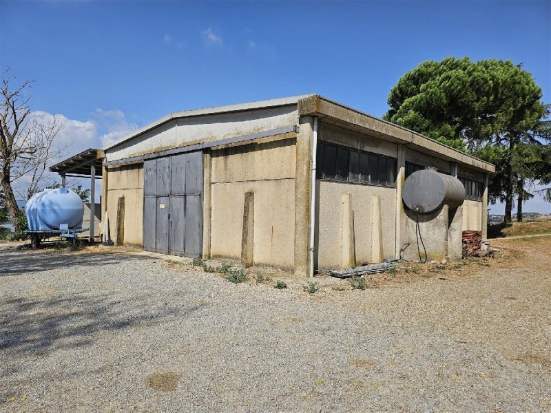 Farm in Castiglione del Lago