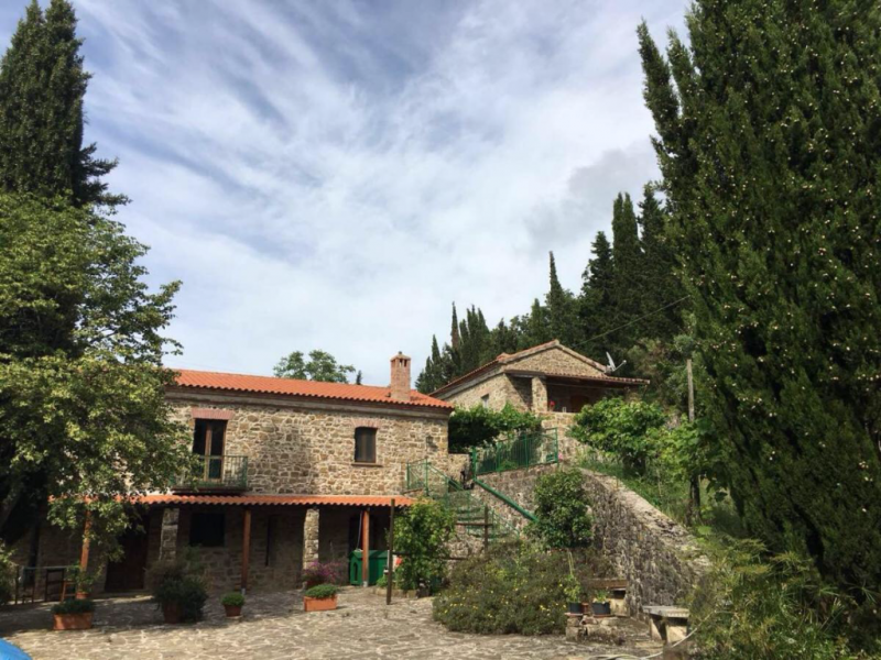 Farmhouse in Ogliastro Cilento