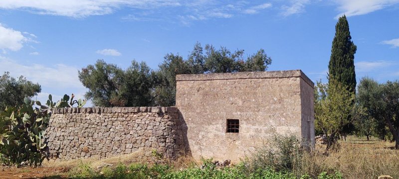 Maison à San Vito dei Normanni