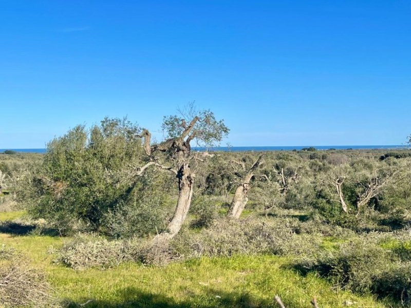 Casa em San Vito dei Normanni