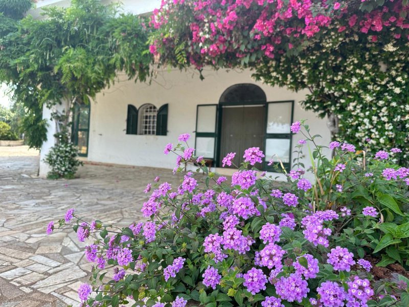 Villa in Ostuni