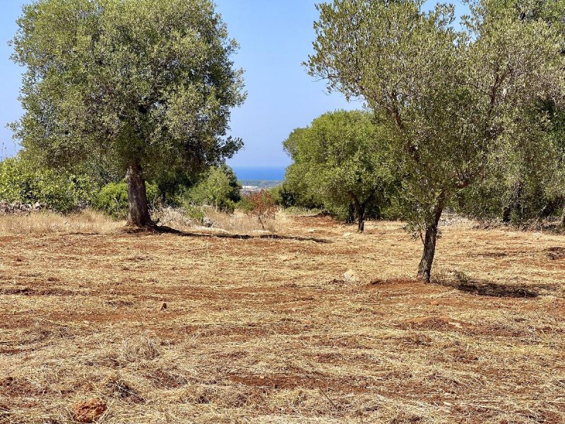 Casa em Carovigno