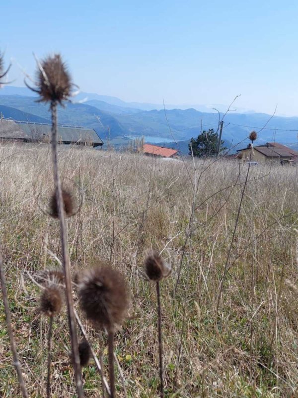 Terreno en Palombaro