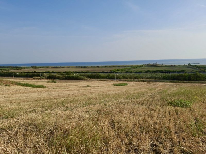 Land in Montenero di Bisaccia