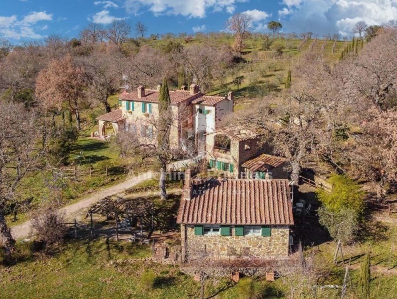 Ferme à Città della Pieve